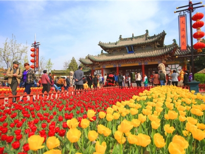 ���������� �����첨�� �_(k��i)����H������ˇ�g(sh��)��ʢ������