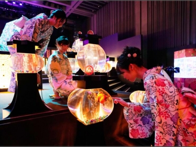 �ձ����ü����~(y��)ˇ�g(sh��)չ �\�[����������(m��ng)��