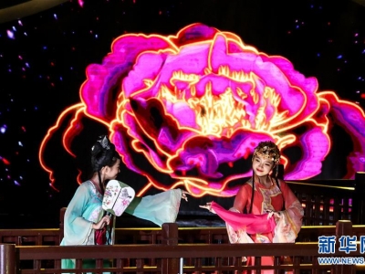 2019���{�ɰ�����ɽ���������(hu�� )����