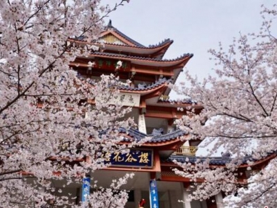 �o(w��)�a�x�^侙ѻ��M(j��n)������^(gu��n)�p�� ���˸�������֮�s��