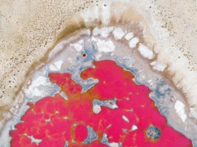 ���ɹŸ��ՈD���Ђ�(g��)����Ů�ġ� ���G��Į�L(f��ng)��