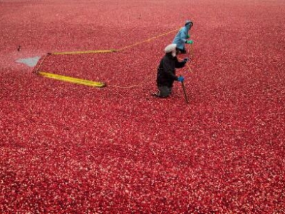 С�M(m��n)���S���� ���[�����S��ʢ���M(m��n)��ϲ��