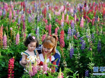 ���̫�ף����_(k��i)���́�(l��i)