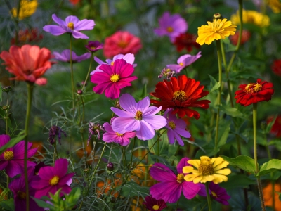 �����A���@�����վո�����ʢ�_(k��i) ���涷�G��ɫ����