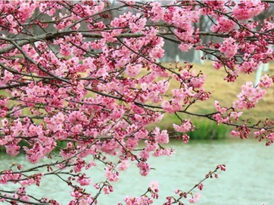 ����֦��������(l��i)�ѻ��_(k��i) �����p��æ