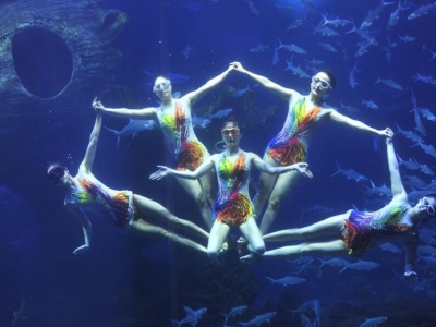 �F���F�(y��ng)���������~(y��)������ˮ�°���