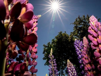 �������m�u������ŭ�� �(y��ng)��֮������̼t