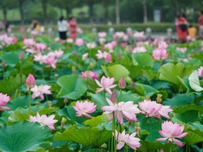 ���K�Ͼ����ɻ�ʢ�_(k��i)������